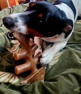 Paula Stubbs review photo