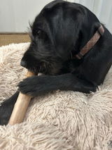Lucy review photo