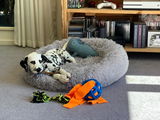 Hanka review photo