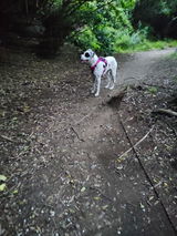 Amy review photo