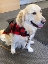 Penny’s Mum review photo