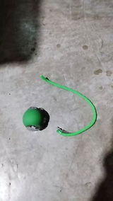 E. review photo