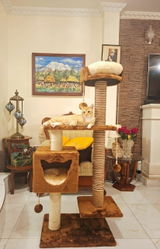 Kerly Alarcon review photo