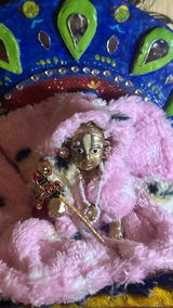 Pankti review photo