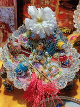 Veena review photo