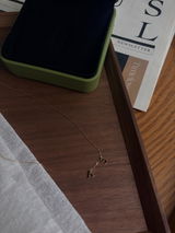 Lin review photo