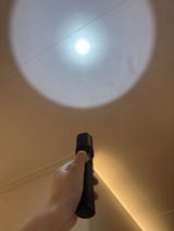 Alex Turner review photo