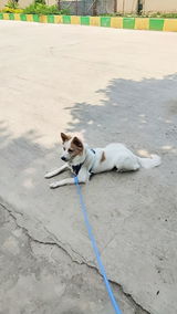 Shruti Patnaik review photo