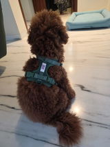Milo review photo