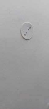 Neema review photo