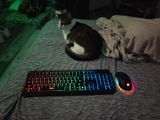 Amanda review photo