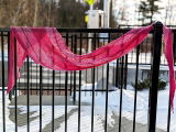 Savita review photo