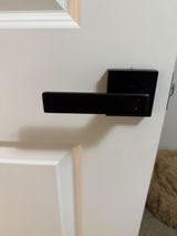 Dinorah Adams review photo