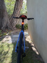 Robin Belford review photo