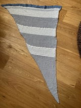 Janett review photo