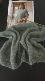ilse review photo