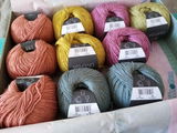 Lisette review photo