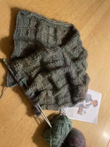 Rolien review photo