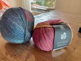 Lyde review photo
