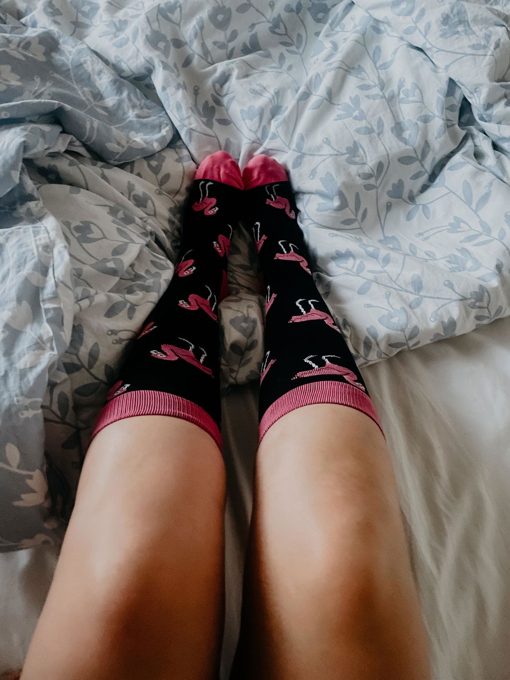 Customer photo from Lotty