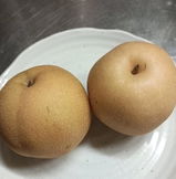 匿名 review photo