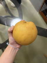 匿名 review photo