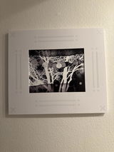 Stephen White review photo