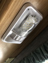 Fern review photo