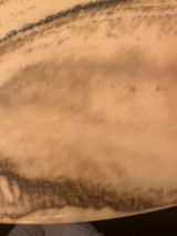 Kornelius l. review photo