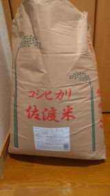 修一 岩脇 review photo