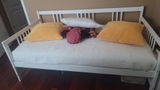 althea review photo