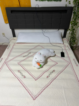 Daisy review photo