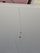 Thekla P. review photo