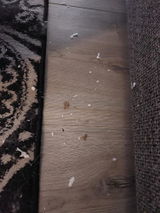 Chiara review photo