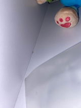 Rose review photo