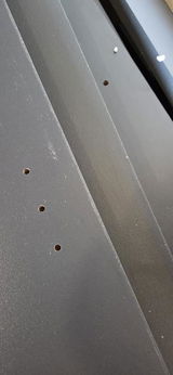 carine review photo