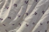 L review photo