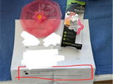 Lewis Yuan review photo