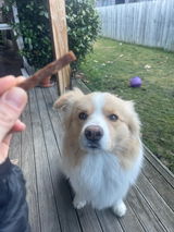 Anonymous review photo