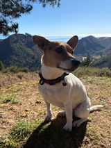 Maddy review photo