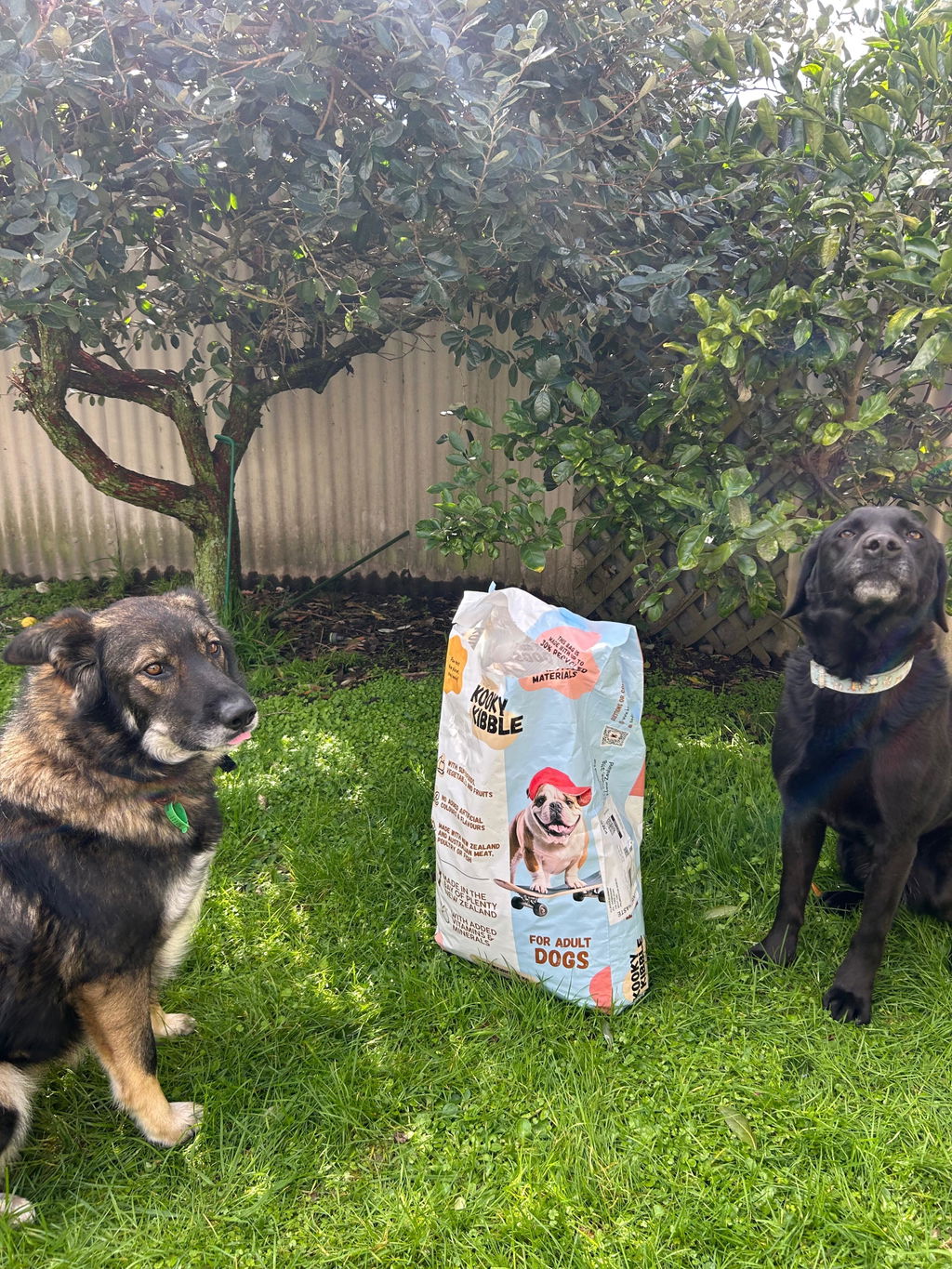 New Zealand Dog Food with Grains for Adult Dogs (12/24 KG)