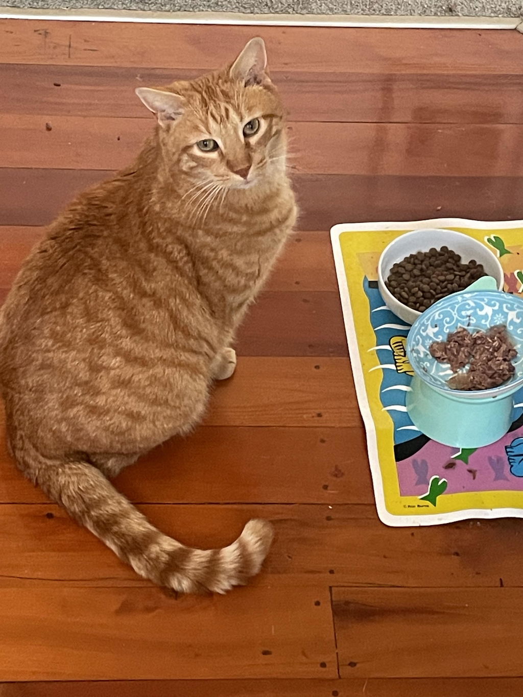 Kooky Kibble Singapore