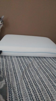 Review picture