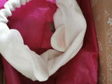 Ray H. review photo