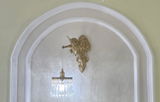 Verne Gold review photo