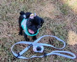 Kristy B. review photo
