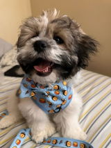 Customer review photo