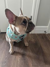 nicole M review photo