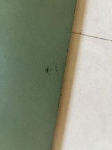 Shagun Jain review photo
