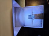 Nella Z review photo